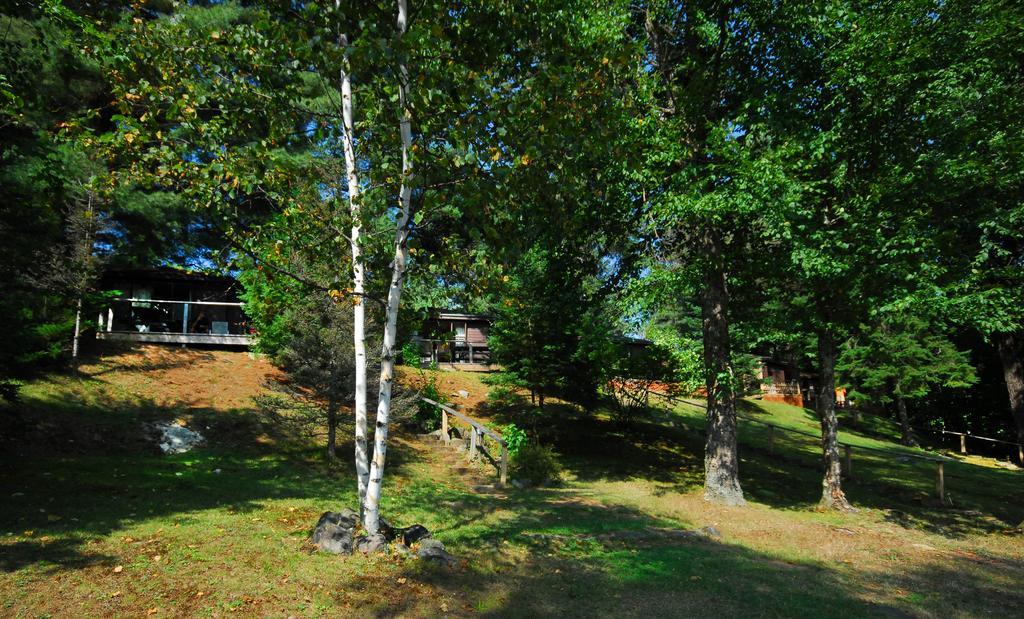 The Pines Cottage Resort Oxtongue Lake Kültér fotó