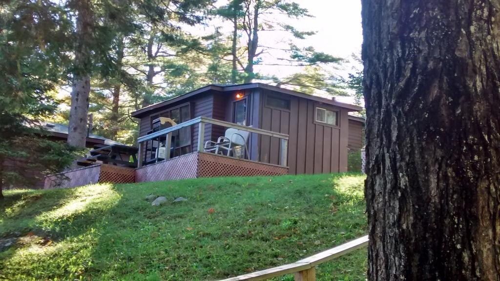 The Pines Cottage Resort Oxtongue Lake Szoba fotó
